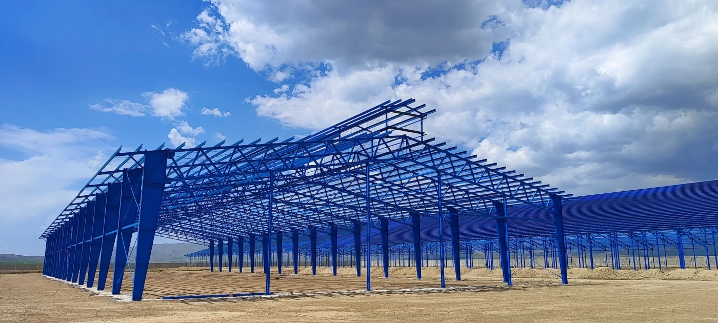 Malardshir 6,000 Head Cattle Farm Project