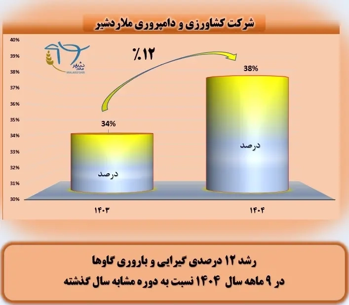 رشد 12 درصدی گیرایی گاوهای شیری در 9 ماهه 1404 نسبت به دوره مشابه سال گذشته