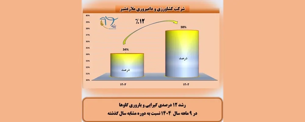 رشد 12 درصدی گیرایی گاوهای شیری در 9 ماهه 1404 نسبت به دوره مشابه سال گذشته