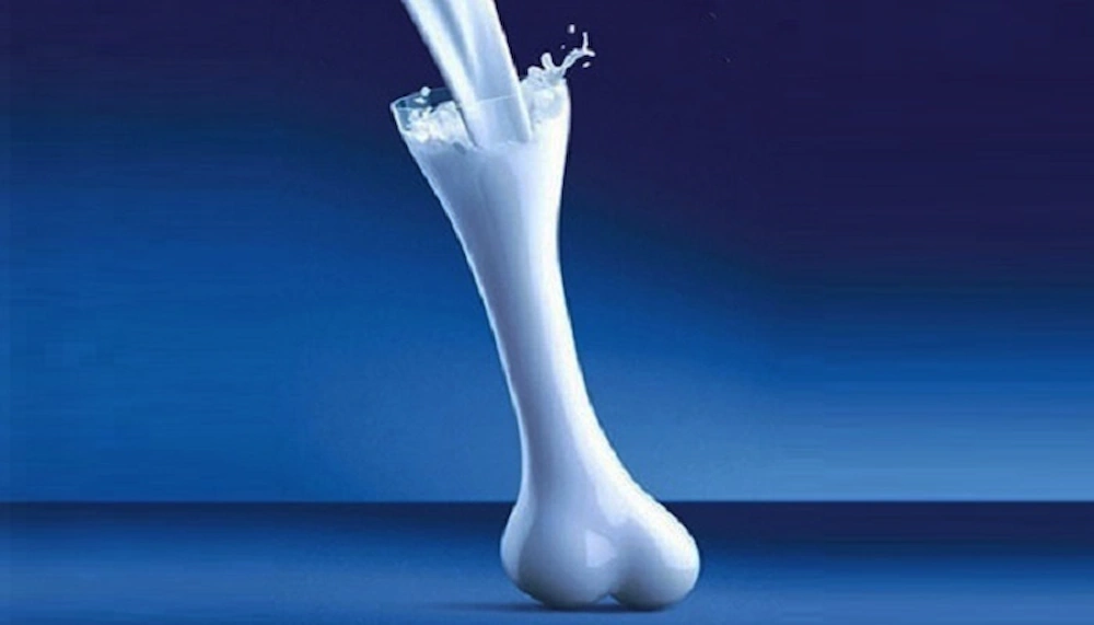 شیر کامل چیست و چه تفاوتی با سایر فرآورده های لبنی دارد؟